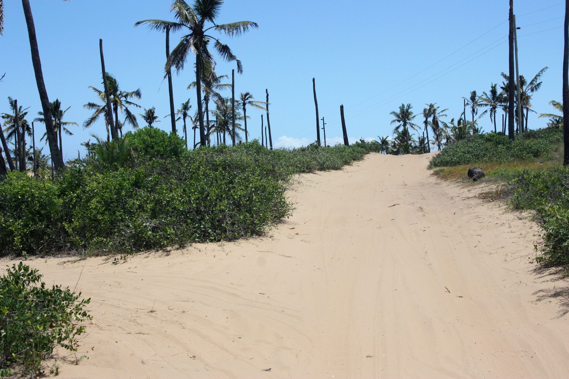 The sandy 4x4 track leading in to Terra Bella