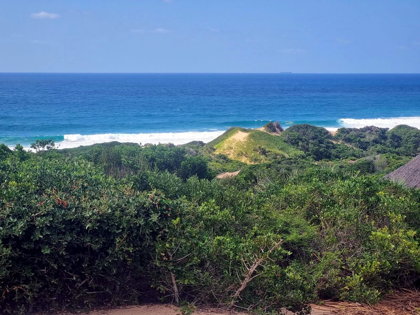 Blue ocean and surf beyond the coastal dunes at Terra Bella