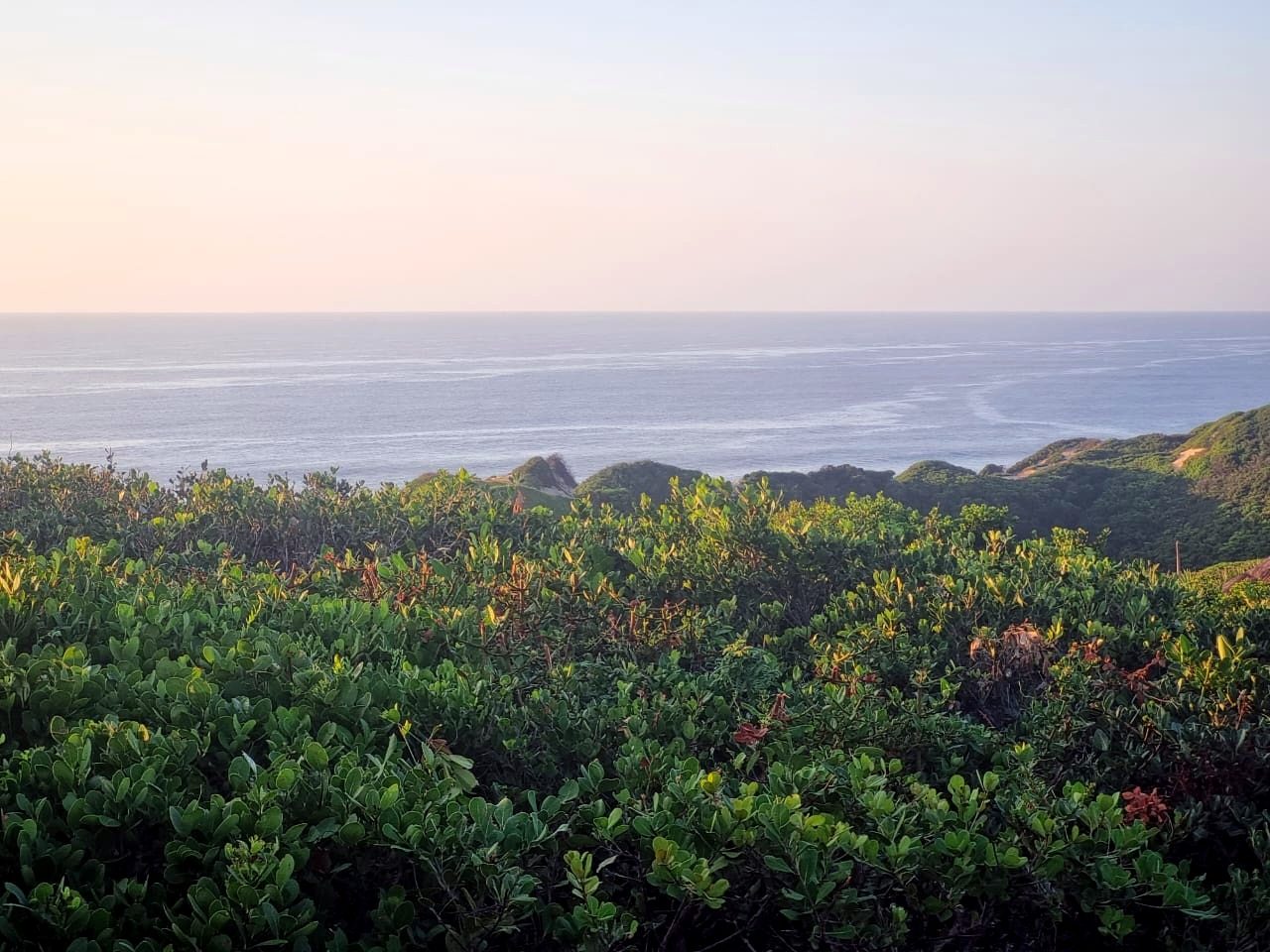 Calm sea over the coastal bush at Terra Bella