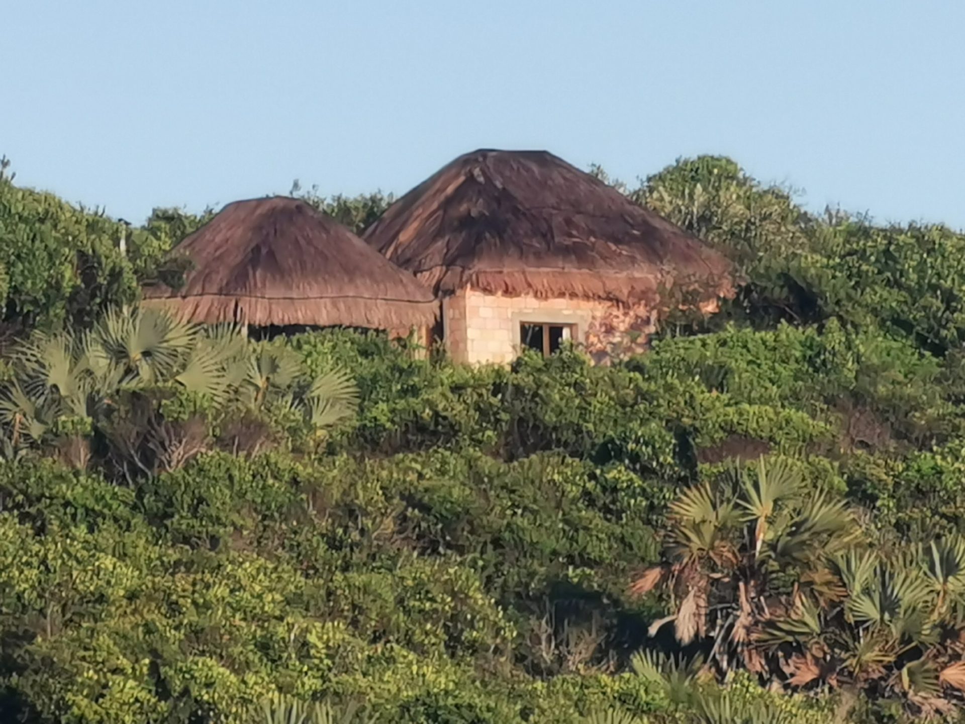 The thatched roofs of Terra Bella among the coastal bush